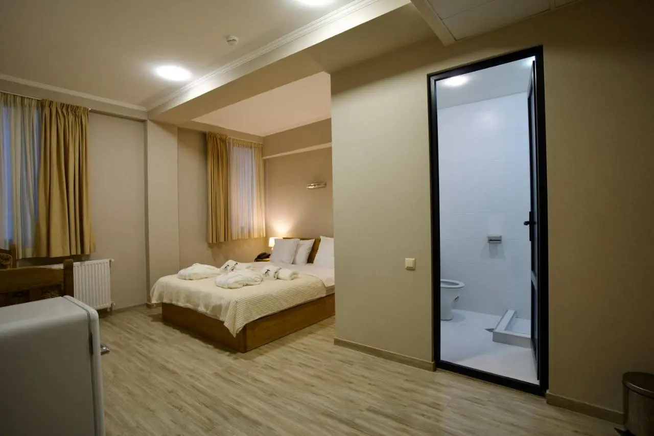 Hotel Mogzauri