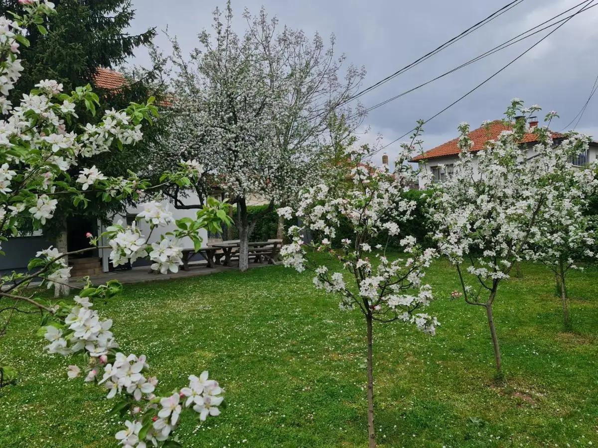 Green Garden Apartment