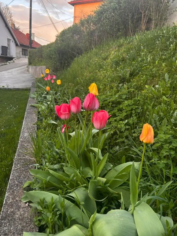 Close to SCC Luxury apartment in Sarajevo