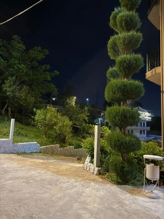 Green Yard Hotel
