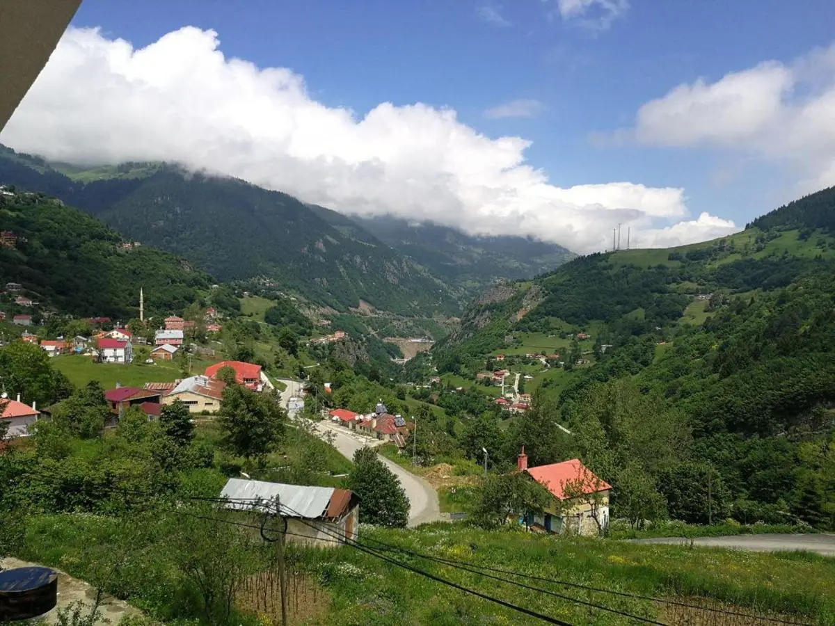 Hamsikoy Hotel