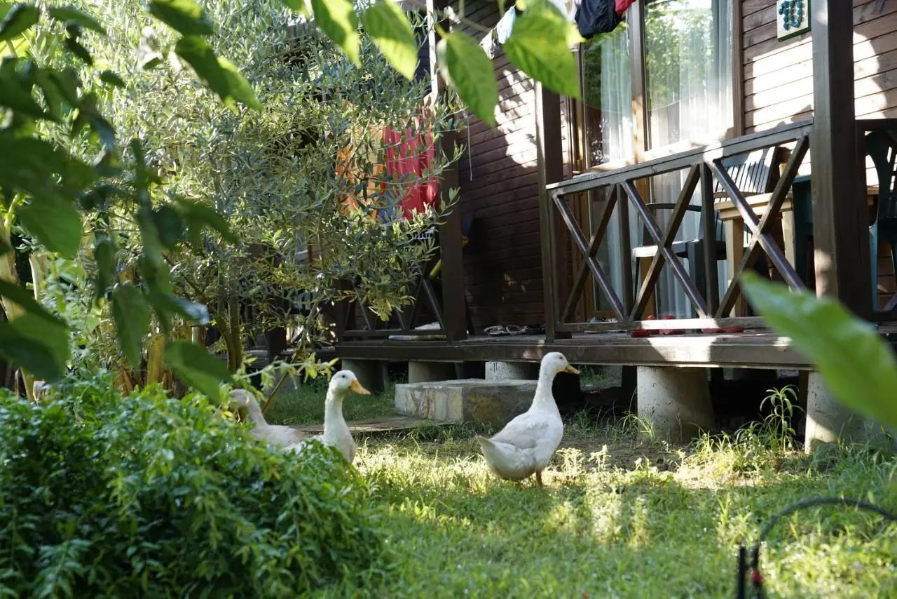 Serenity Bungalows
