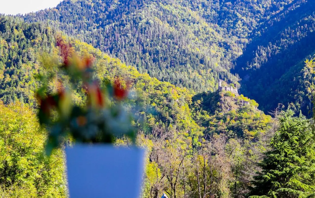Emerald Borjomi Hotel