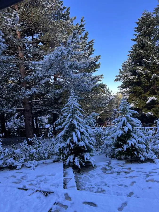 Hotel Alpin Llogara