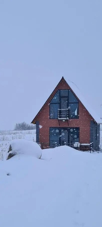 Cottage Cozy Yard