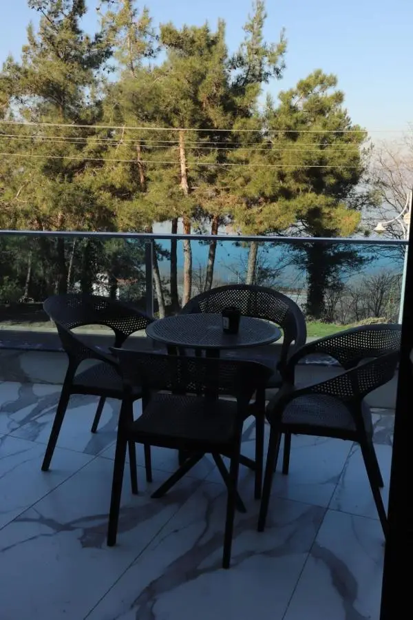 Sapanca Villa View Suite