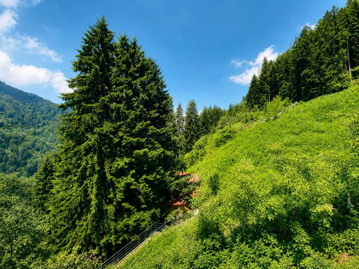 Ayder Doga Resort