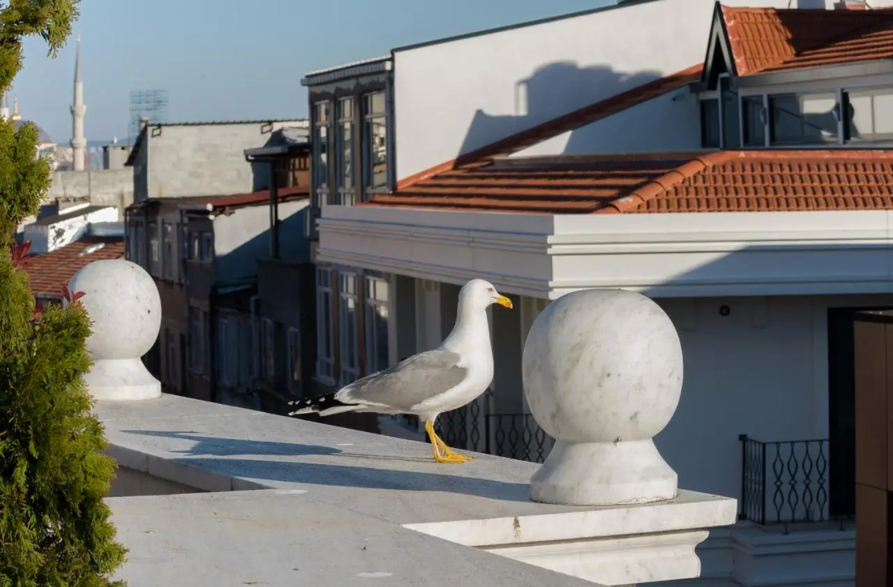 Bizim Hotel