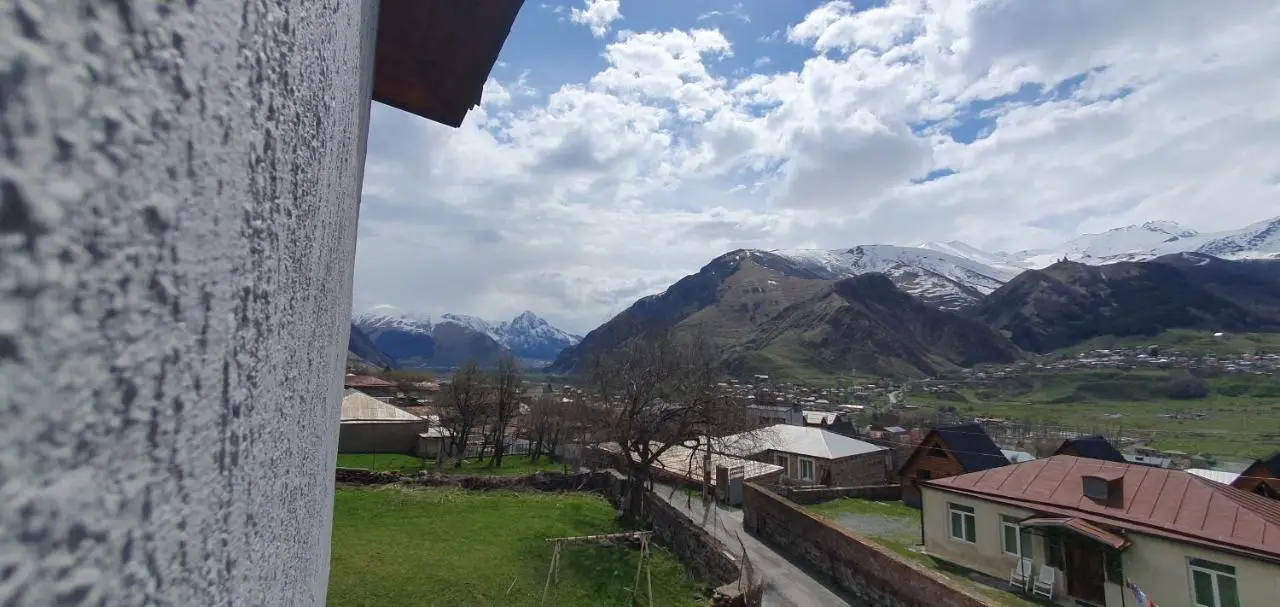 Elnetsa Inn Kazbegi