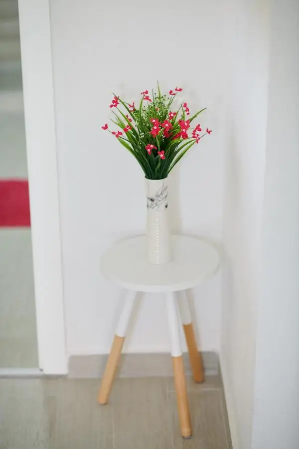 Lovely House Apartment