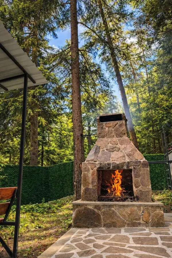 Hotel forest echo