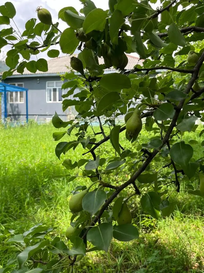 Secret Guest House