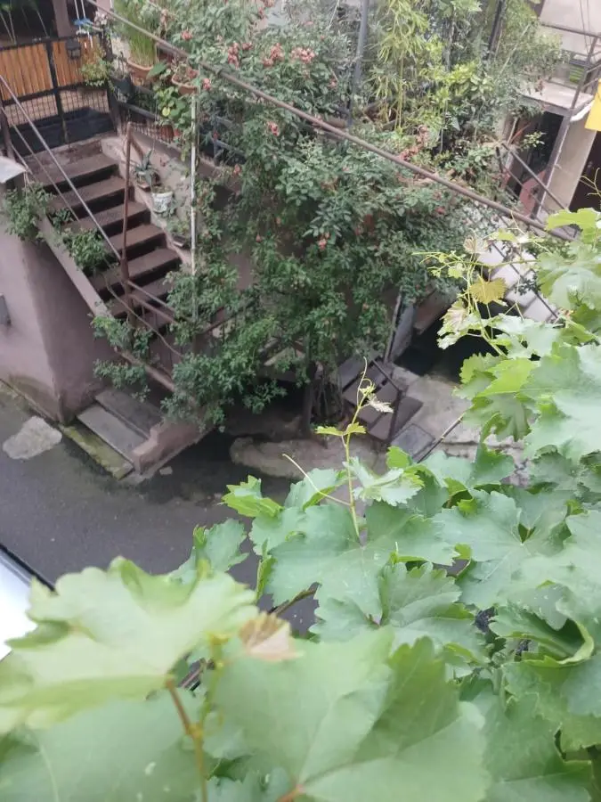 Hotel White Neptun Georgia Tbilisi