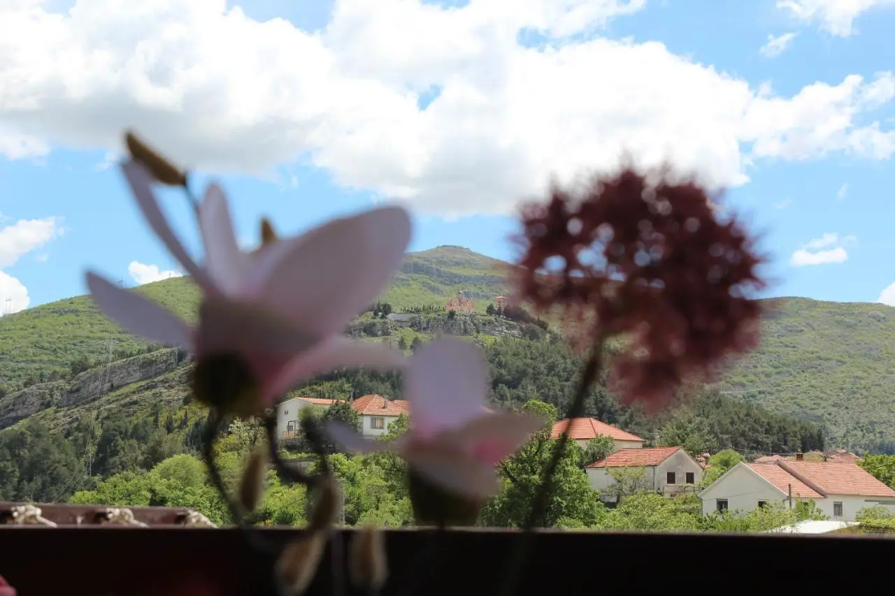 Sunny apartment with a view