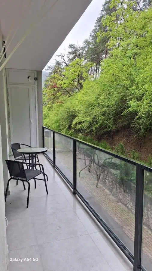 Nerse's Apartment