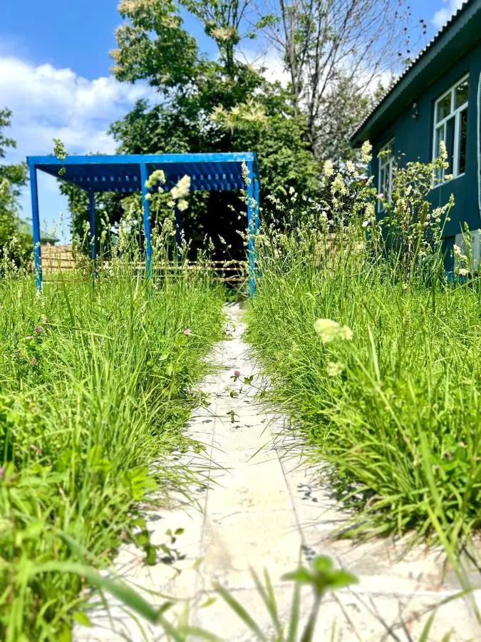 Secret Guest House