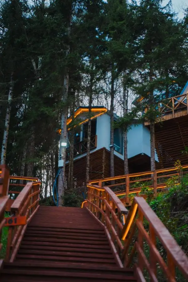 Montana Suite Bungalows
