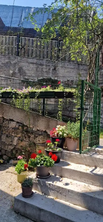 Apartment Plava Voda