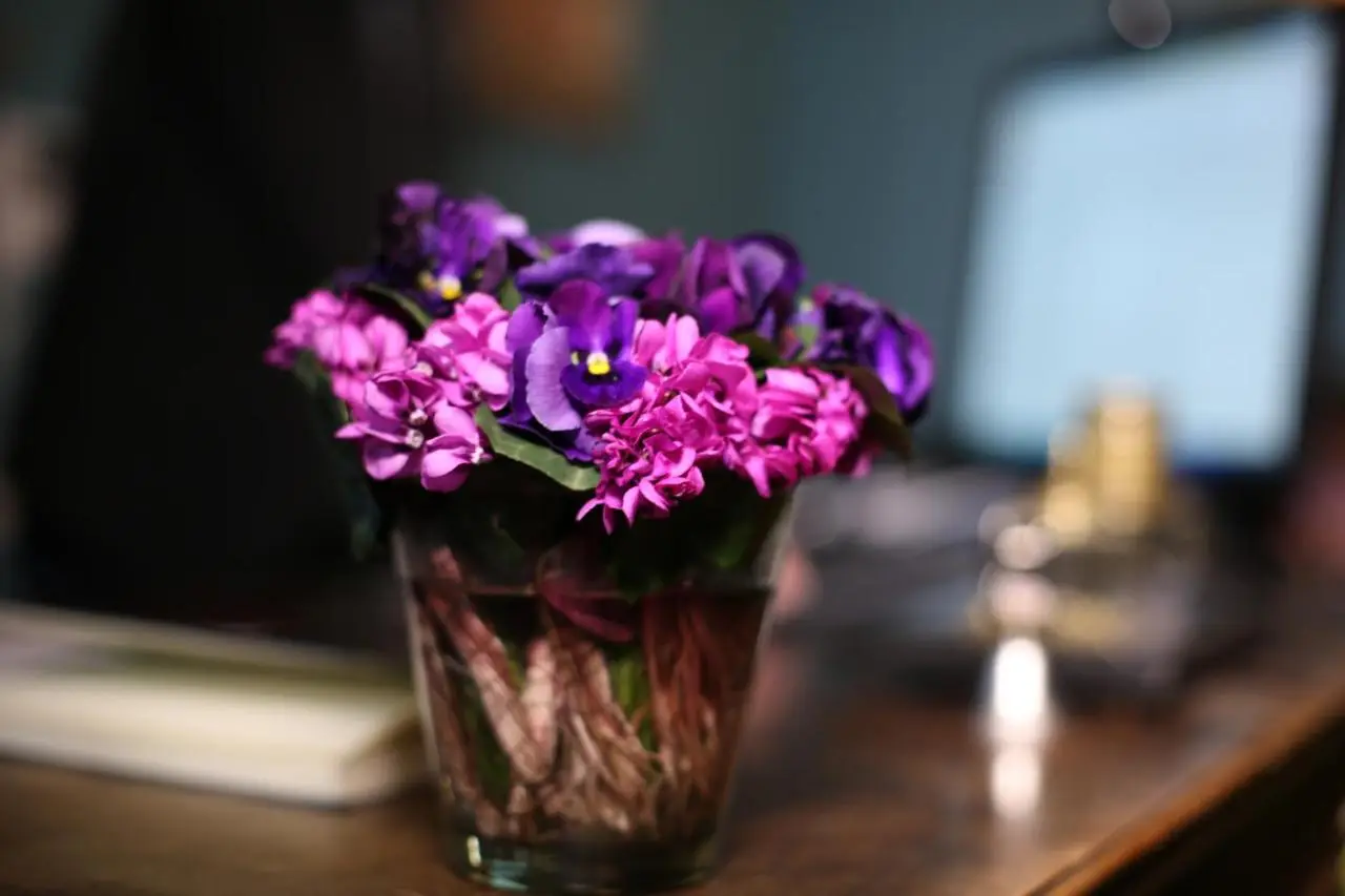Kindli Boutique Hotel