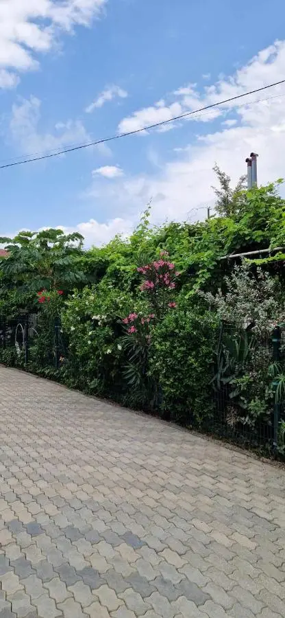 House of greenery