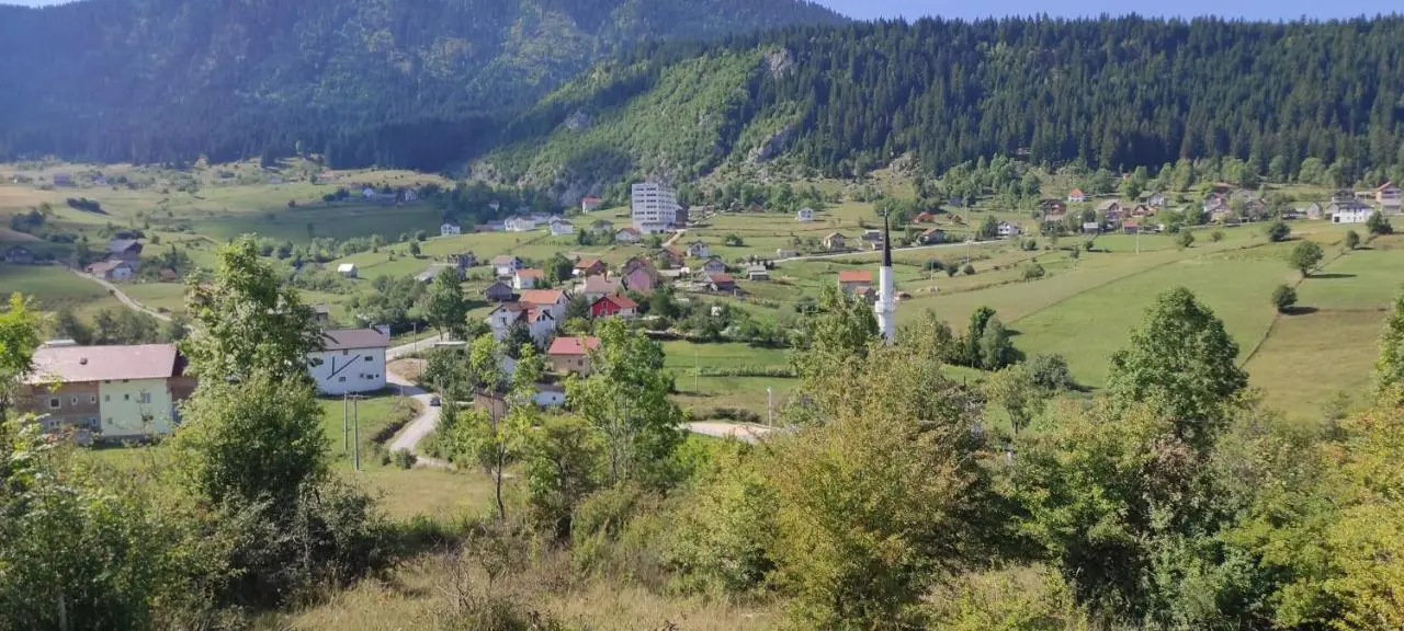 Vlasic holiday home