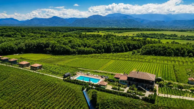 Chateau Vartsikhe