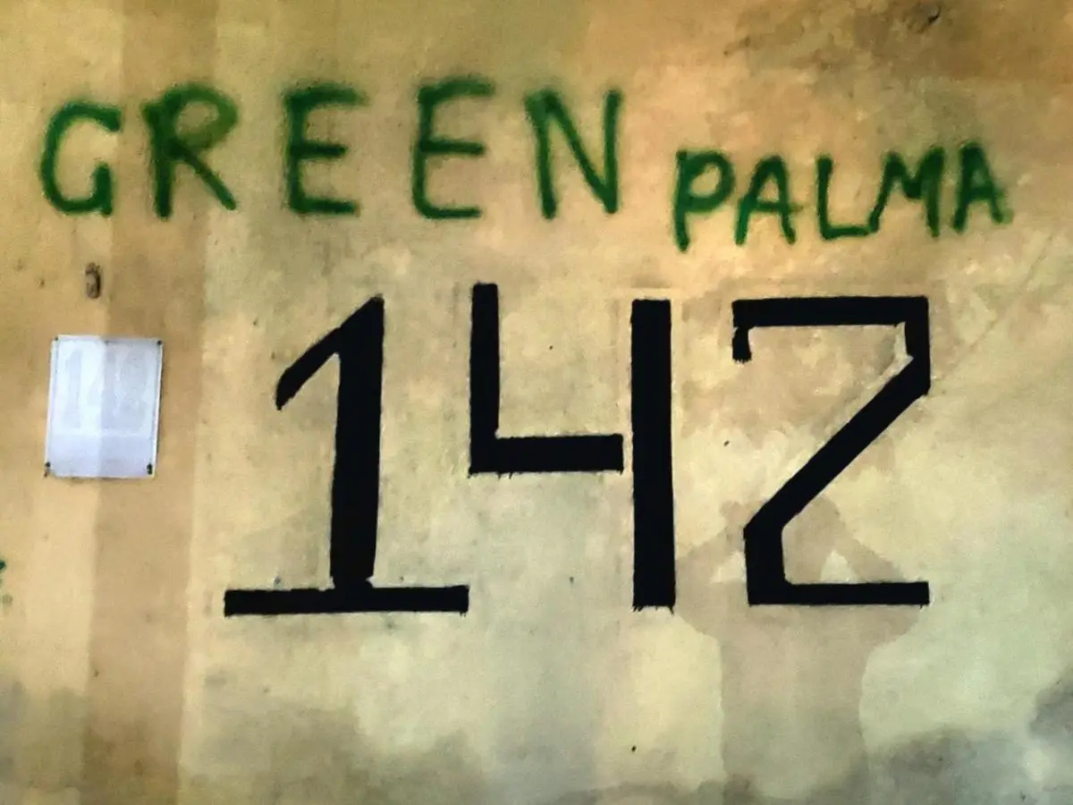 Green Palma