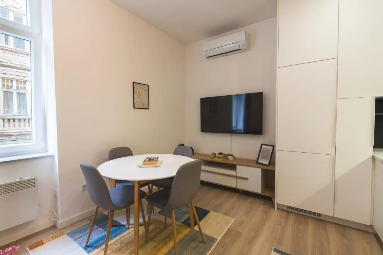 Modern Apartments in the Center of Sarajevo