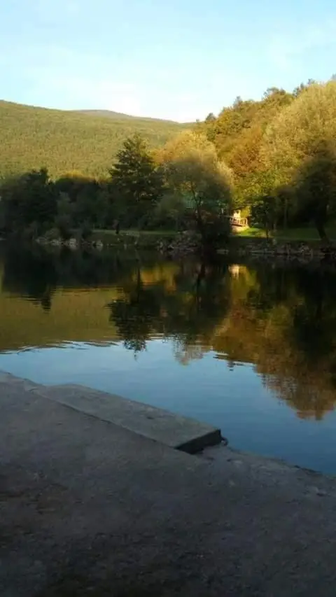 Saraj Guest House