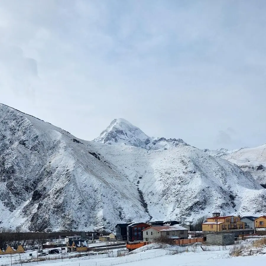 mood villa Kazbegi
