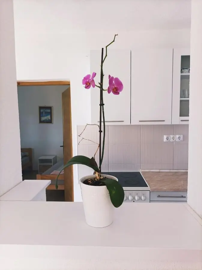Dina apartman Jablaničko jezero