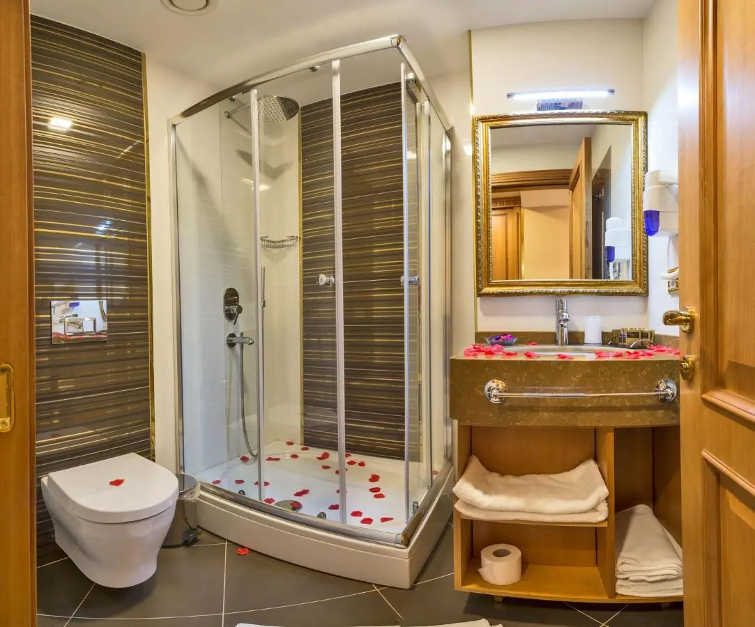 Aprilis Gold Hotel - Special Category