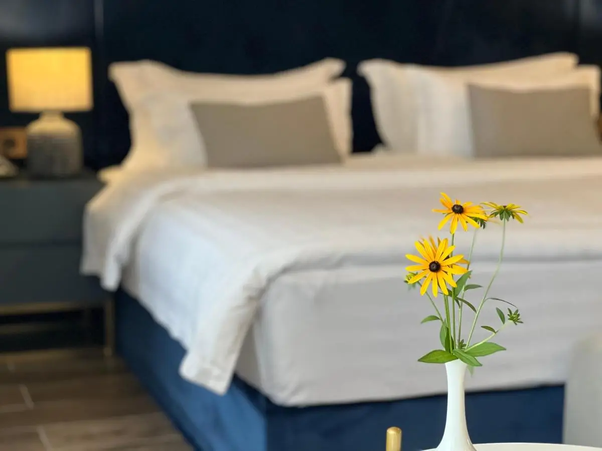 Hotel Aisi