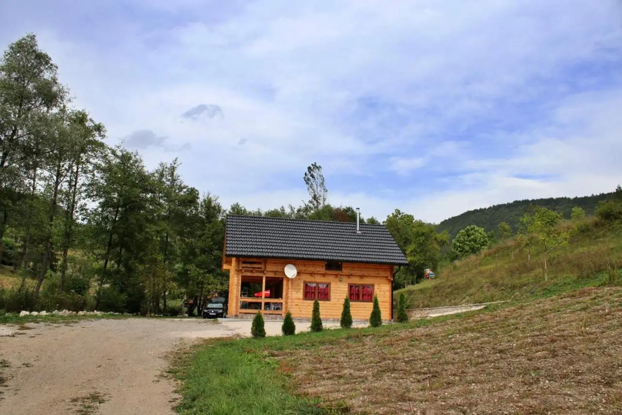 Eko kuca Jandro