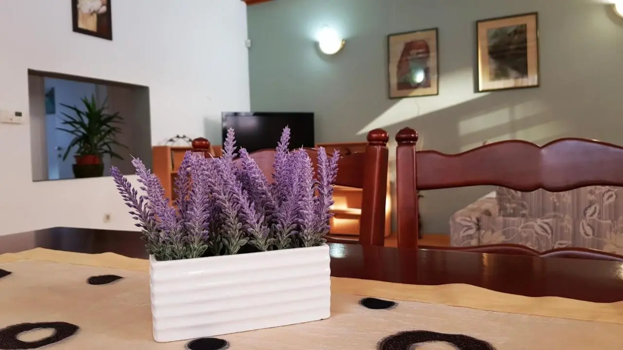 Apartment Cobanija