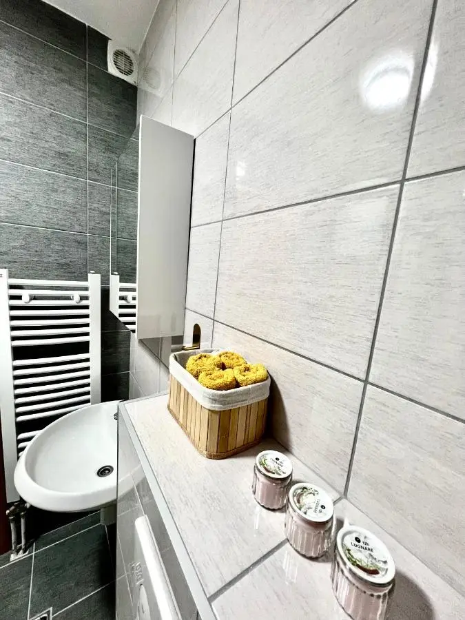Luxury apartment Ema