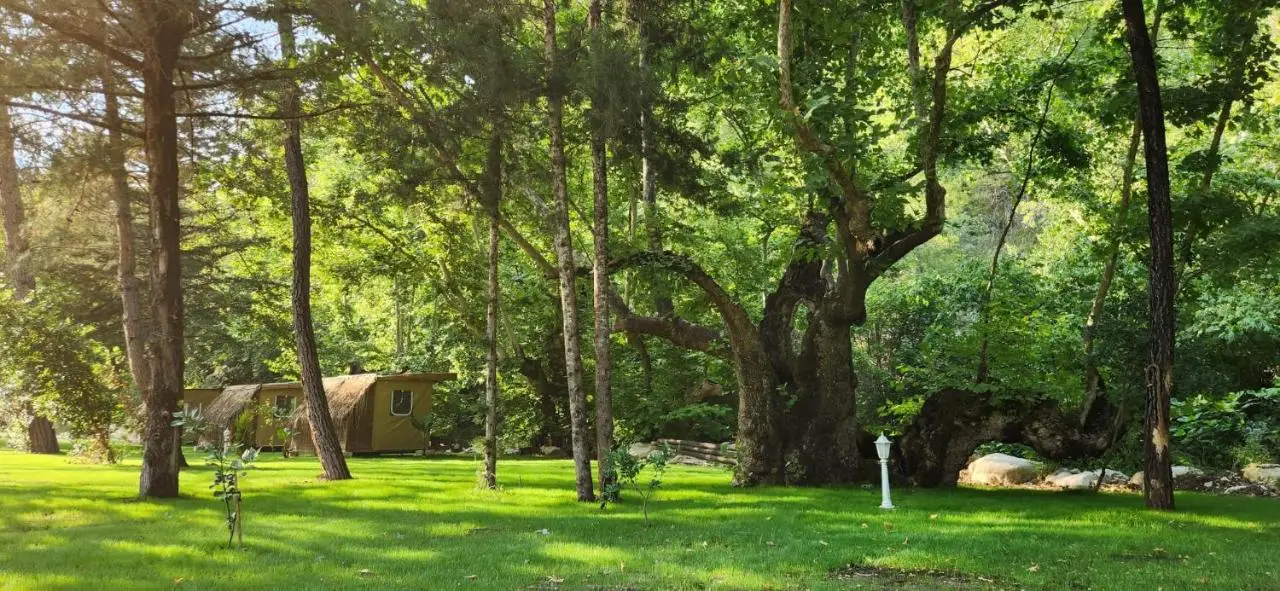 Yusalis Garden Hotel