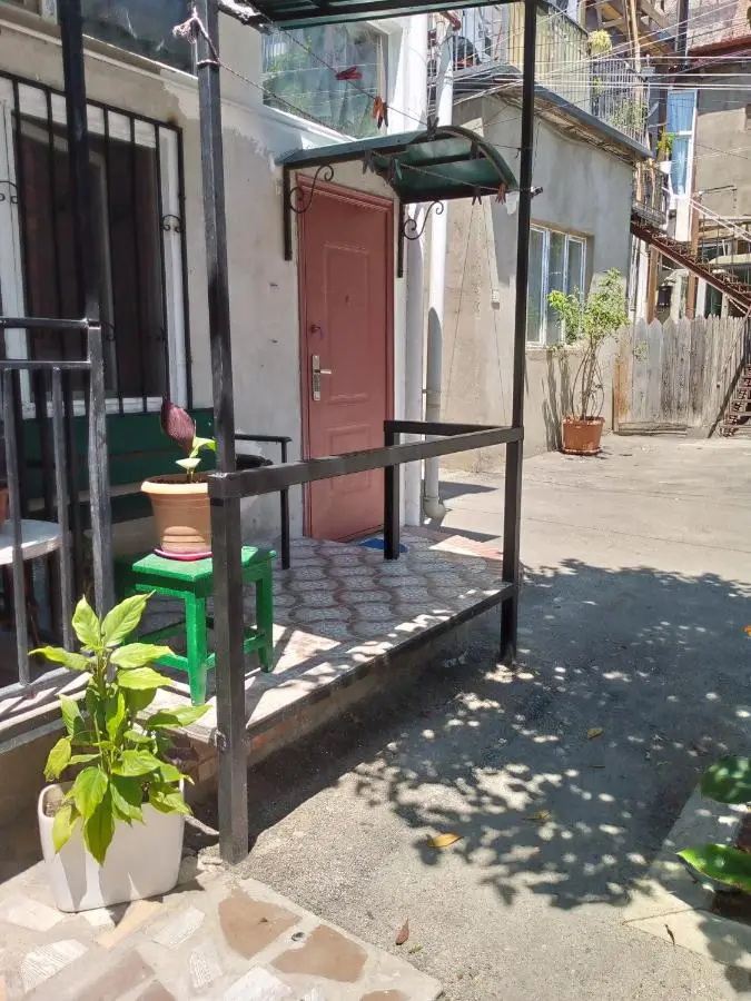 birdhome in Tbilisi (Maria)