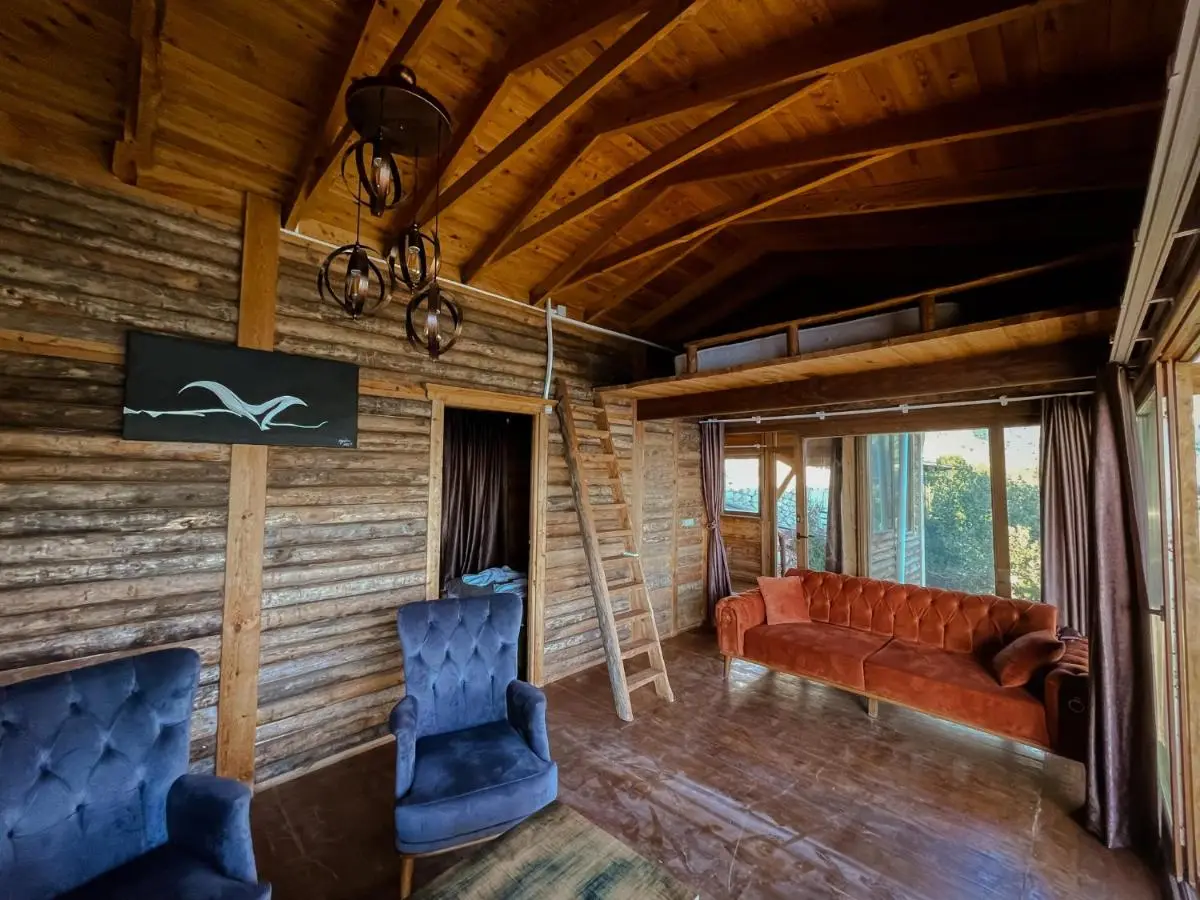 Kabak Ütopya Kamp