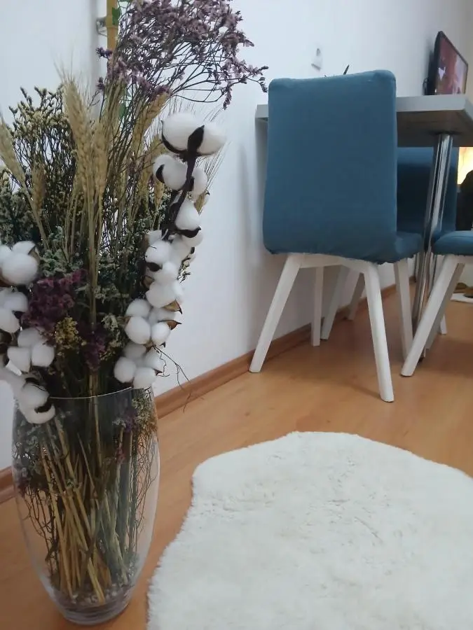 Molinelli apartment
