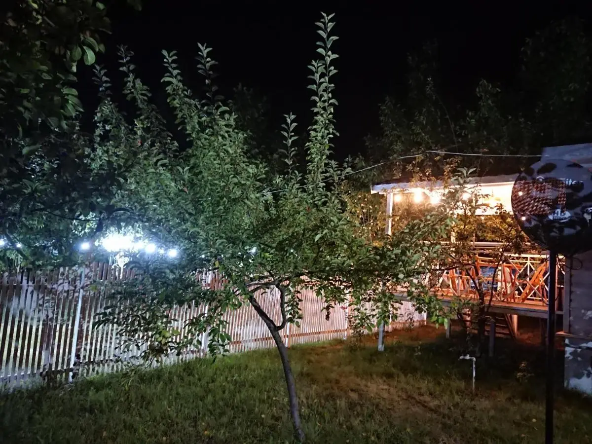 Our Garden