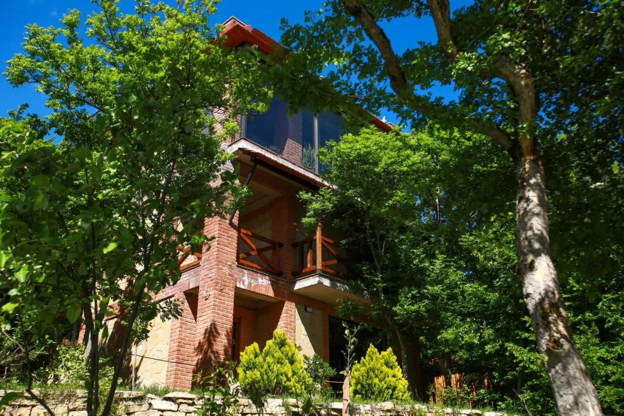 Villa Vejini