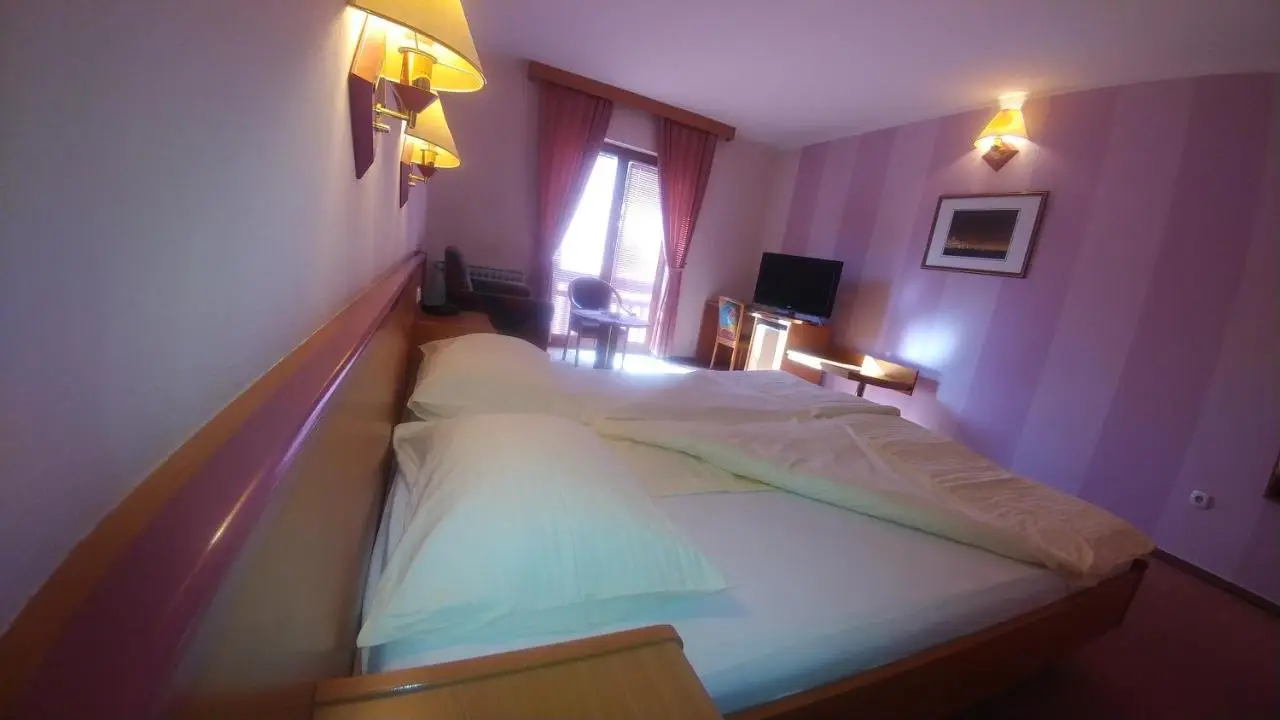 Hotel Delminium