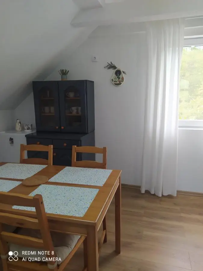 Apartment Savkovic