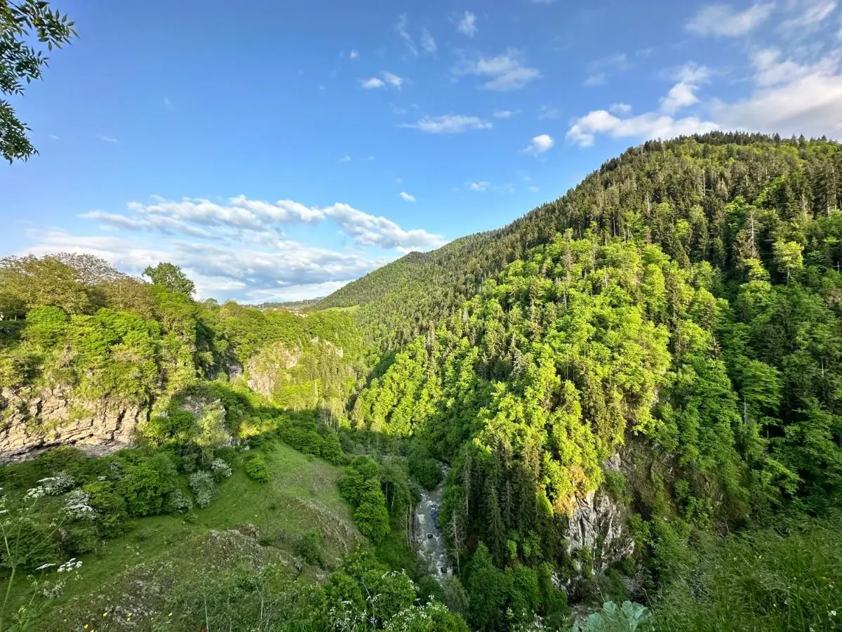 Green Mountain Borjomi