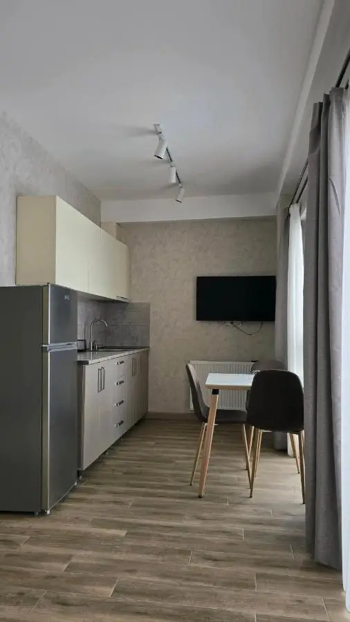 Bakuriani apartment 205 Tsakadze st 20
