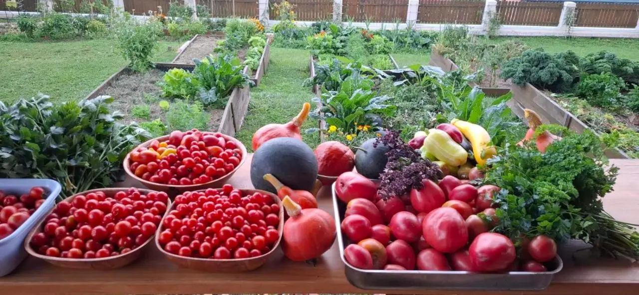 Bio Garden Cottage Sarajevo - Kremeš, Vogošća Seosko domaćinstvo Pogledine