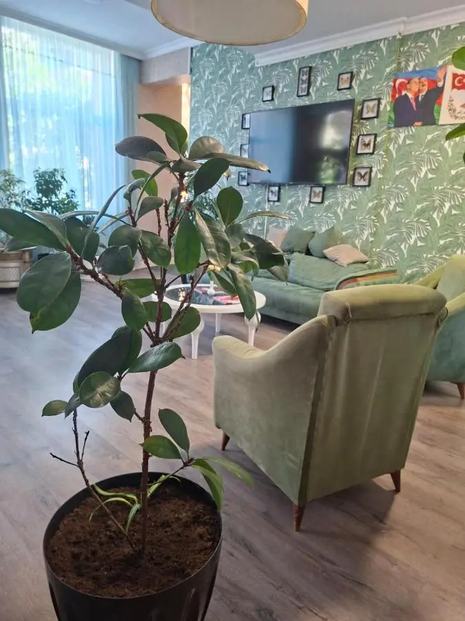 Richman Hotel Baku