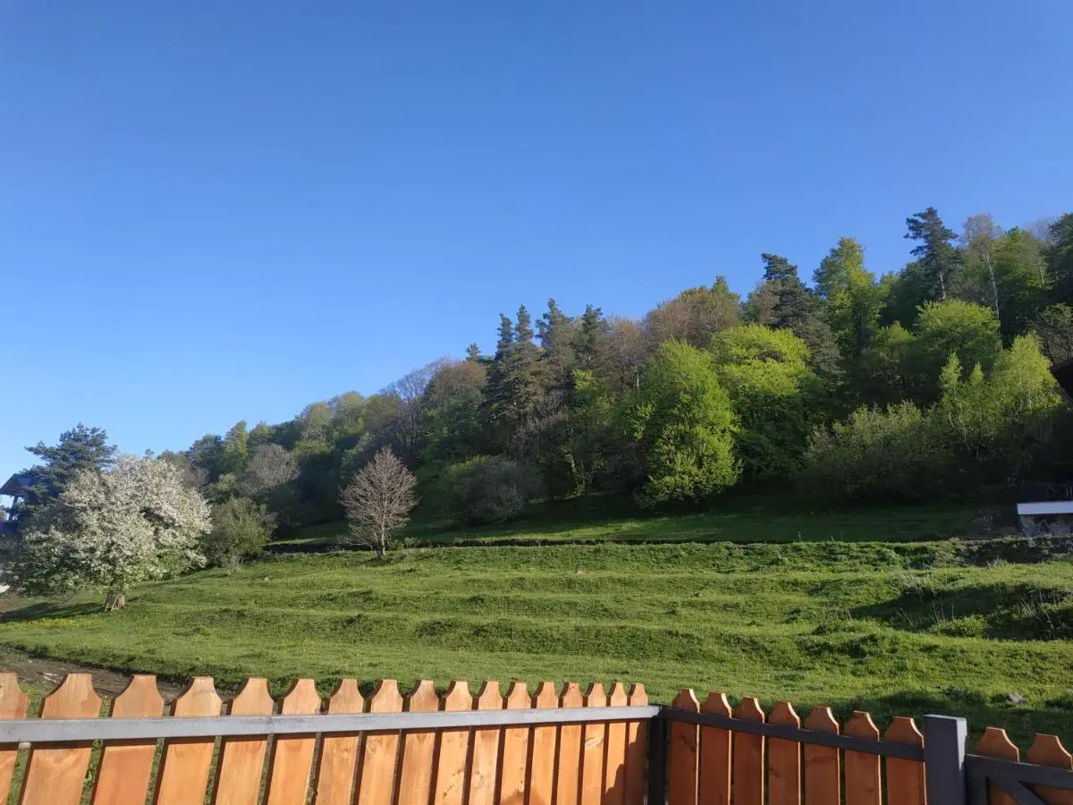 Villa Bayern in Bakuriani