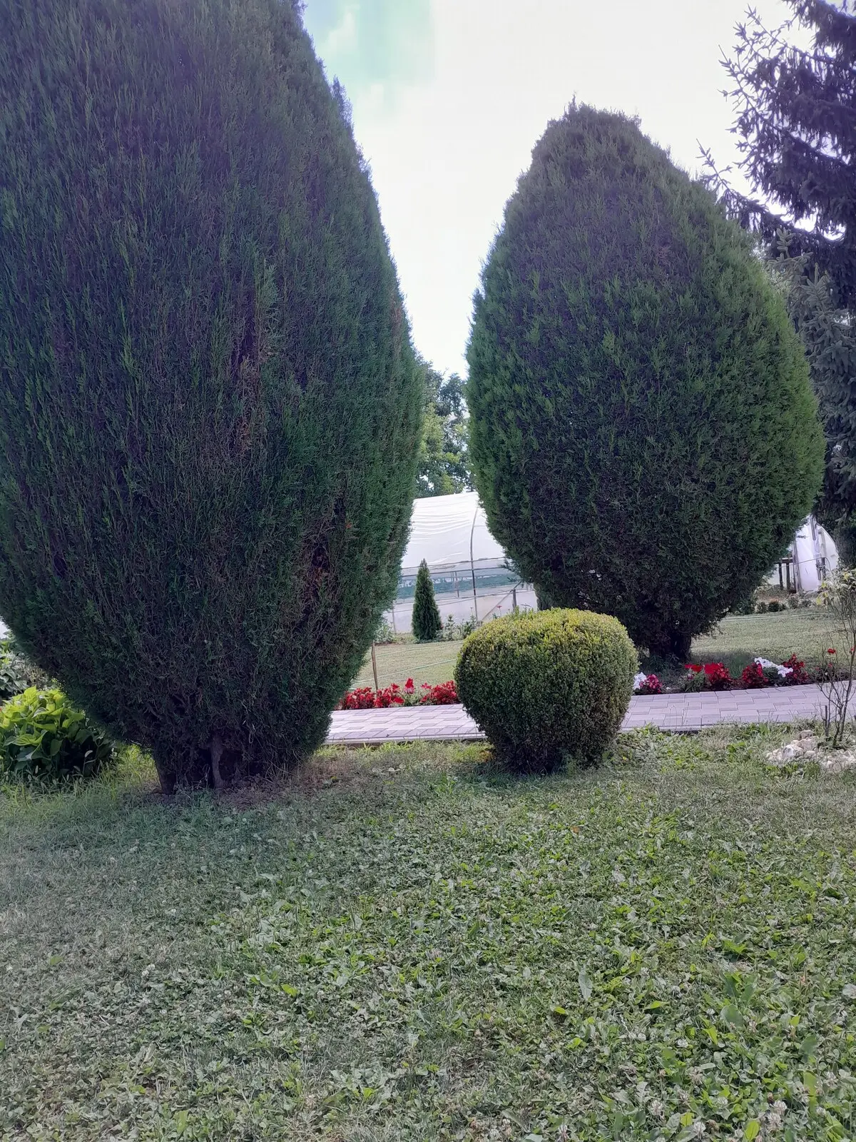 Gardena plus